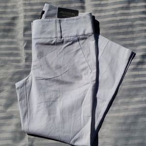 Ann Taylor  pant